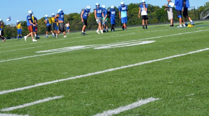 field turf