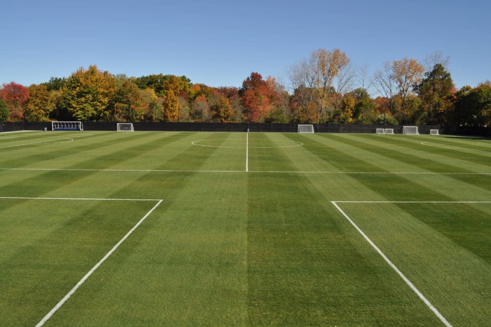 Natural Turf Construction