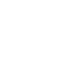 twitter logo