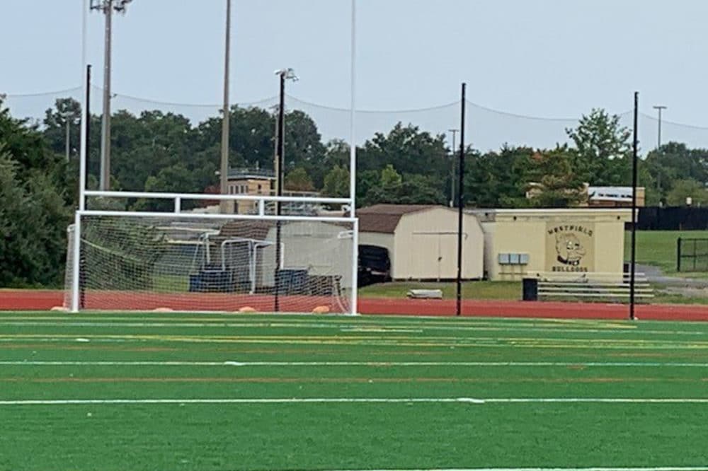 Westfield High School Turf Fairfax Virginia