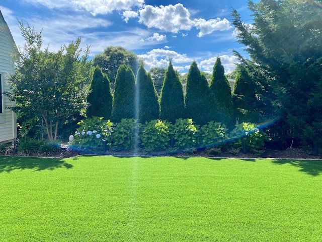 landscaping and playground design