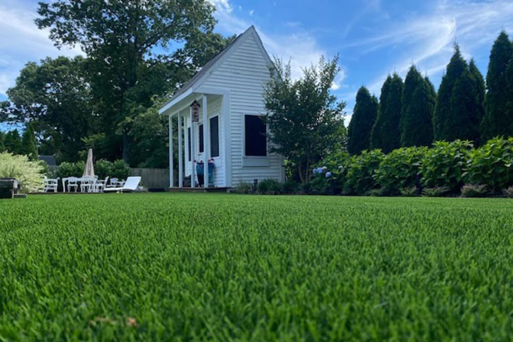 Residential / Landscape Turf