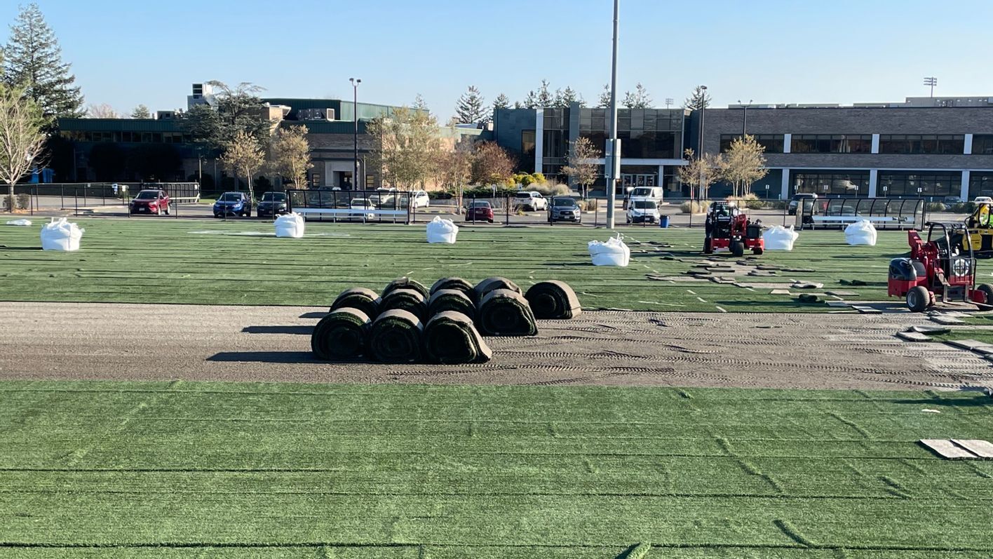 hofstra university turf